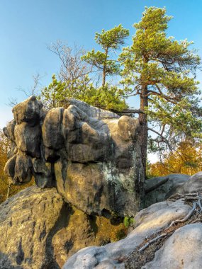 Polonya 'daki Masa Dağı Ulusal Parkı' nın Errant Kayaları içinde eşsiz bir kumlu kaya oluşumu