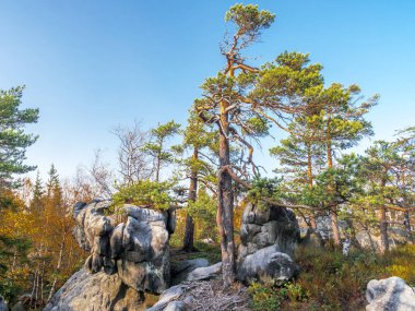 Polonya 'daki Masa Dağı Ulusal Parkı' nın Errant Kayaları içinde eşsiz bir kumlu kaya oluşumu