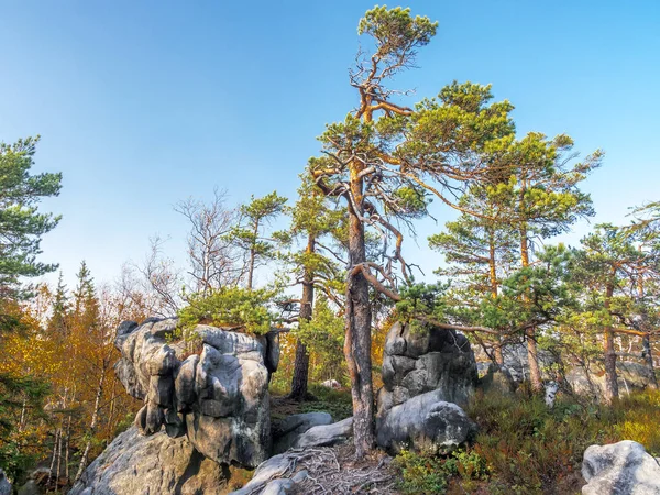 ポーランドのテーブル マウンテン国立公園のアーレント ロック内のユニークな砂岩の形成 — ストック写真