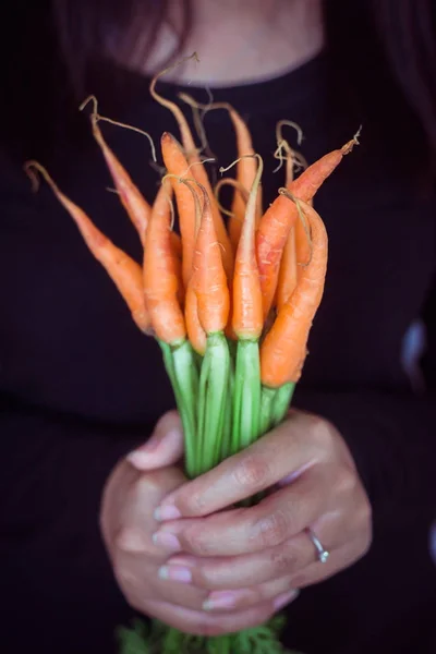 Hands Holding Baby Carrot Organic Fresh Vegetable Toned Image — Stock Photo, Image