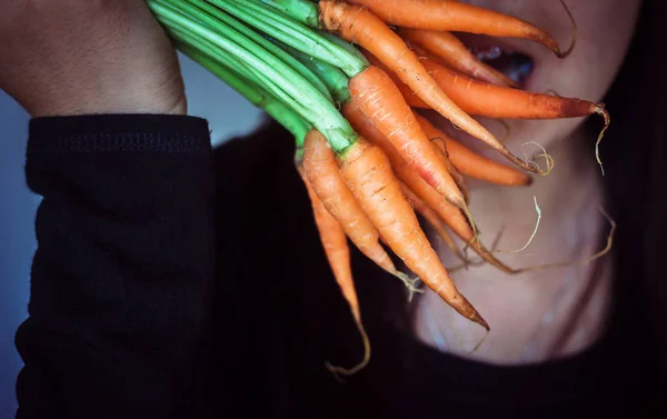 Hands Holding Baby Carrot Organic Fresh Vegetable Toned Image — Stock Photo, Image