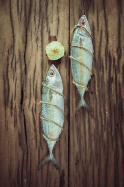 Kireç, Toned görüntü ile iki taze uskumru balığı