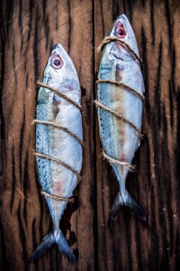 İki taze uskumru balığı, Toned görüntü