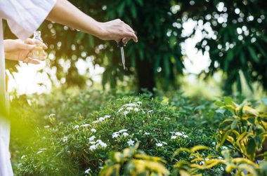 Asyalı kadın araştırmacı, test tüpü kullanarak bahçedeki bilgi verilerini incelemek ve incelemek için sıvı bırakıyor.