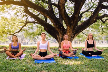 Sabahları parkta yoga yapan bir grup genç kadın, yoga minderiyle yeşil çimlerde egzersiz yapan bir bayan arkadaş.