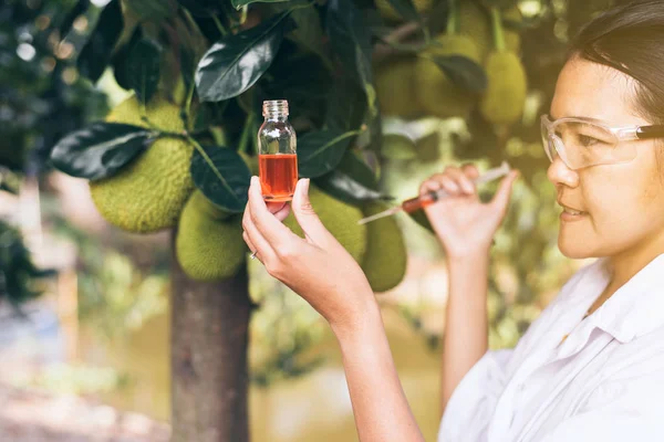 Mulher Asiática Pesquisadora Mostrando Produtos Químicos Usando Seringa Para Examinar — Fotografia de Stock