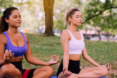 Sabahları parkta yoga yapan, olumlu düşünen, sağlıklı ve yaşam tarzı kavramı olan bir çift genç kadın.