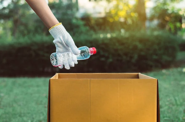 Wolontariuszka Przechowuje Plastikowe Butelki Papierowym Pudełku Parku Publicznym Wyrzuca Recykling — Zdjęcie stockowe