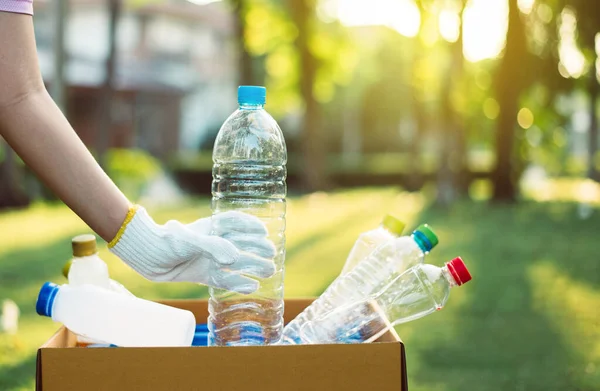 Volontär Kvinna Som Håller Plastflaska Papperslådan Offentlig Park Kassera Återvinning — Stockfoto