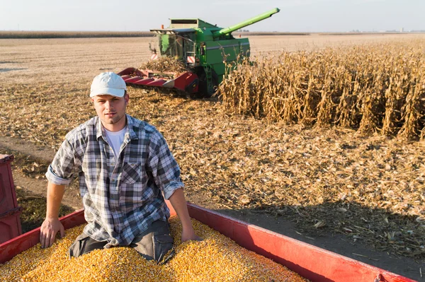 Giovane agricoltore che detiene grani maturi — Foto Stock