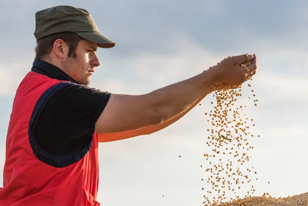 Agricultor e soja — Fotografia de Stock