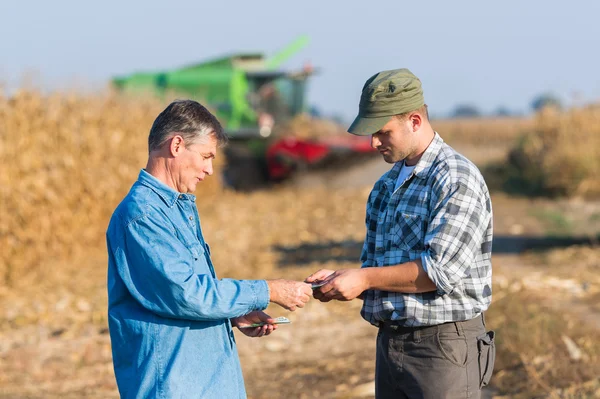 Happy farmer after harvest of corn — Stock Photo, Image