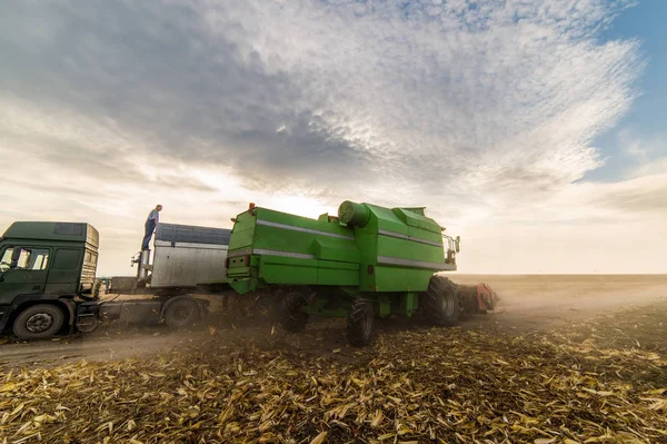 Verter grano de maíz en el remolque tractor —  Fotos de Stock