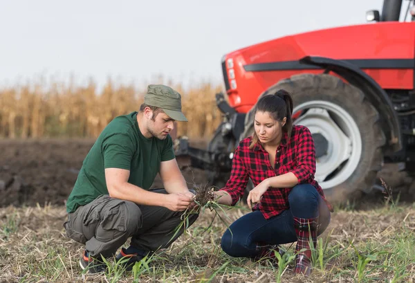 Agricultores examinando sujeira enquanto trator é arar campo — Fotografia de Stock