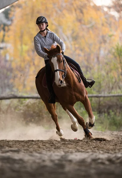 Νεαρό κορίτσι ιππασίας ένα άλογο — Φωτογραφία Αρχείου