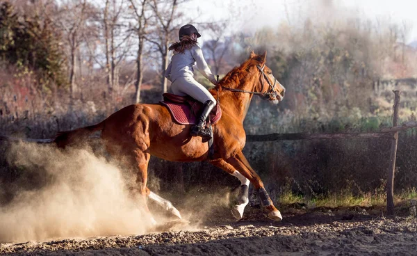 Chica joven montando un caballo — Foto de Stock