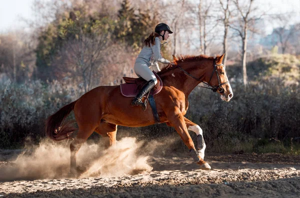 Young girl riding a horse — Stock Photo, Image