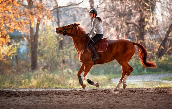 Ung flicka Rider en häst — Stockfoto