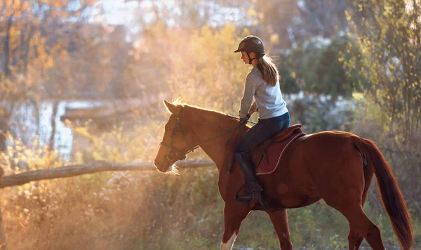 Young girl riding a horse — Stock Photo, Image