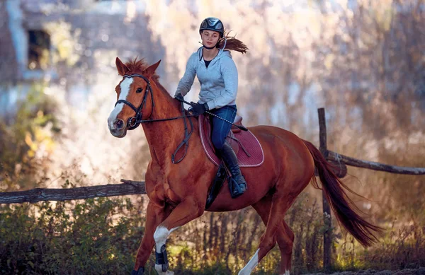 Young girl riding a horse — Stock Photo, Image