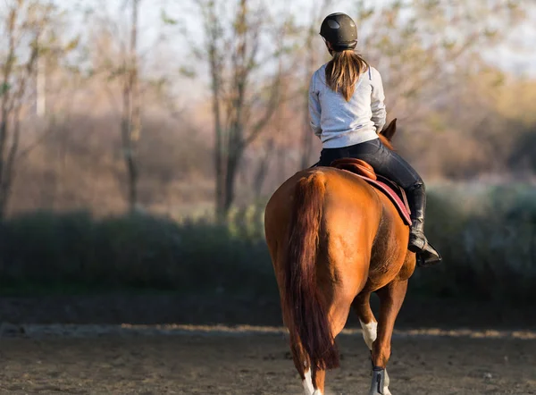 Young girl riding a horse — Stock Photo, Image