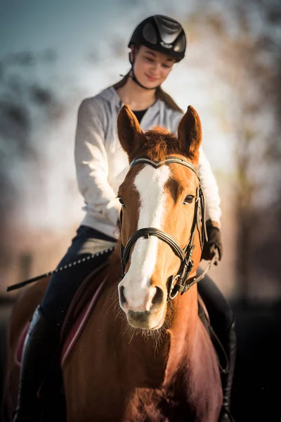 Young girl riding a horse — Stock Photo, Image