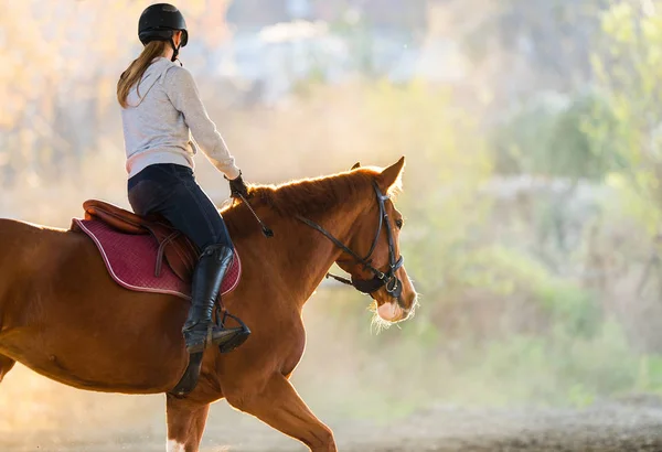 Junges Mädchen reitet auf einem Pferd — Stockfoto