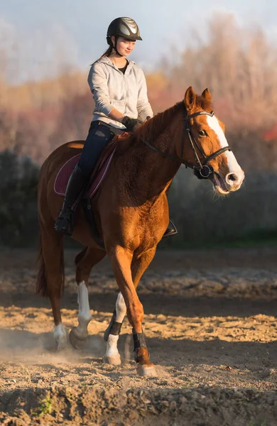 Chica joven montando un caballo — Foto de Stock