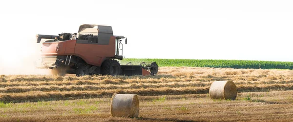 Harvesting of wheat field — Stock Photo, Image