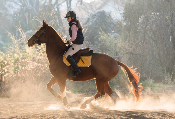 Young girl riding a horse