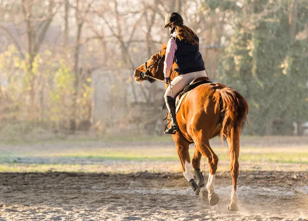 Chica joven montando un caballo — Foto de Stock