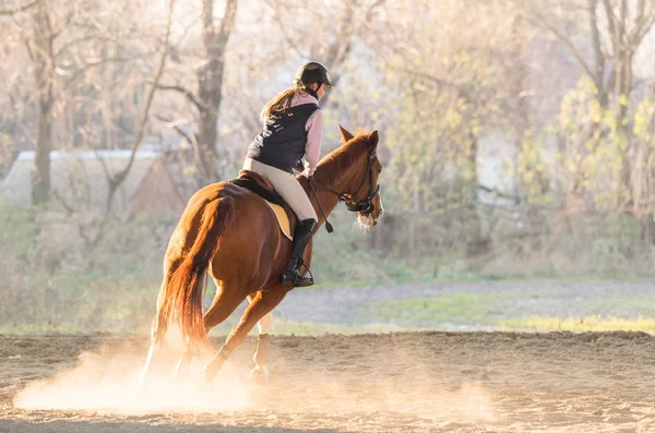 馬に乗る少女 — ストック写真