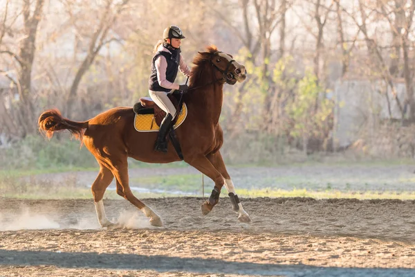 Jeune fille chevauchant un cheval — Photo