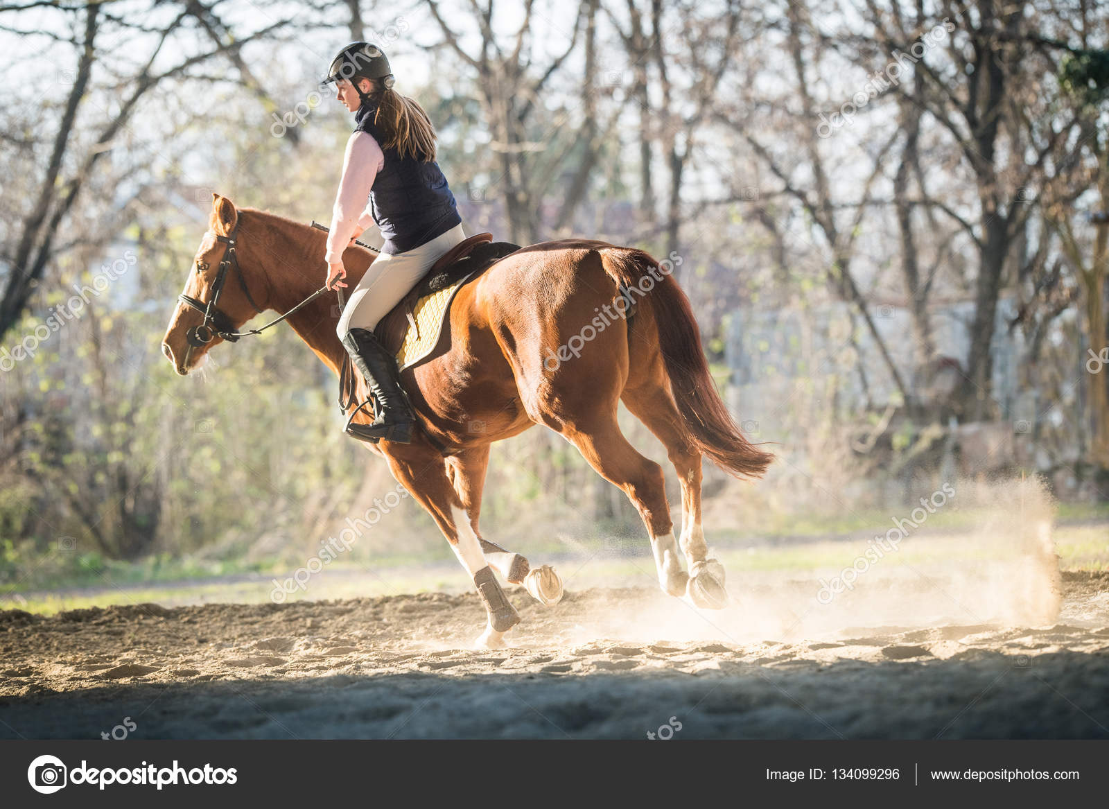 Młoda Dziewczyna Na Koniu Zdjęcie Stockowe Fotokostic