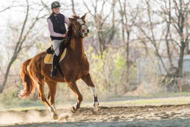 genç kız bir binicilik