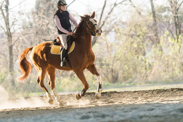 Chica joven montando un caballo — Foto de Stock