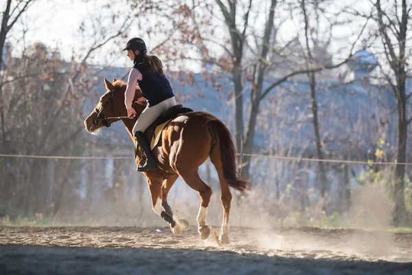 genç kız bir binicilik