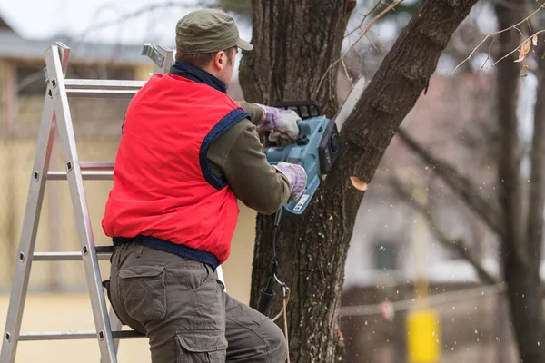 Seorang pria memotong cabang dengan gergaji mesin di halaman — Stok Foto