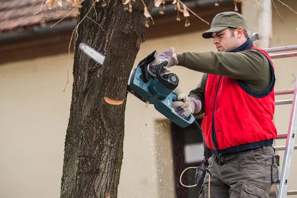 Homme coupant une branche avec une tronçonneuse dans la cour — Photo