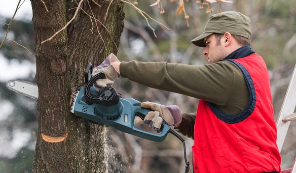Hombre cortando una rama con motosierra en el patio —  Fotos de Stock