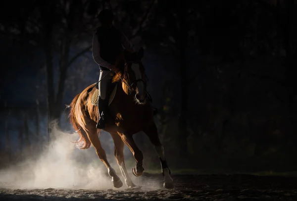 Junges Mädchen reitet auf einem Pferd — Stockfoto