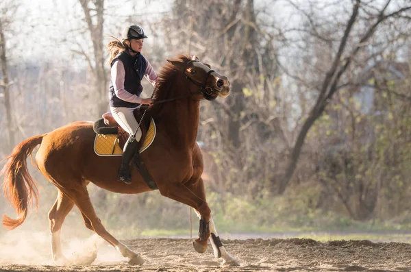 Chica joven montando un caballo — Foto de Stock