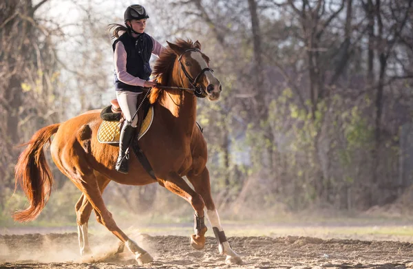 Chica joven montando un caballo — Foto de Stock