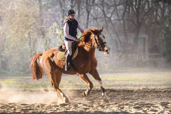 Ung flicka Rider en häst — Stockfoto