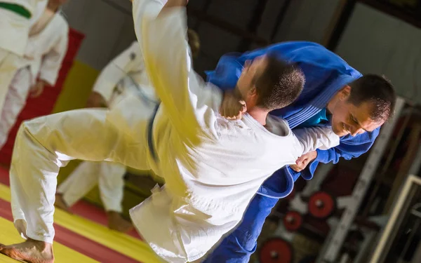 Judo sportovní trénink — Stock fotografie