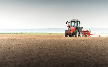 alan bitkileri tohum