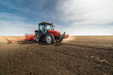 alan bitkileri tohum