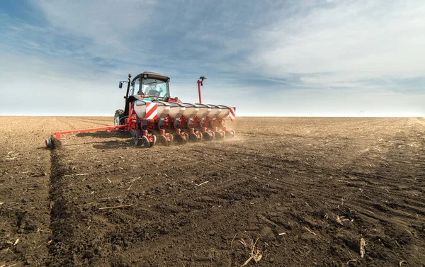 Seeding crops at field — Stock Photo, Image