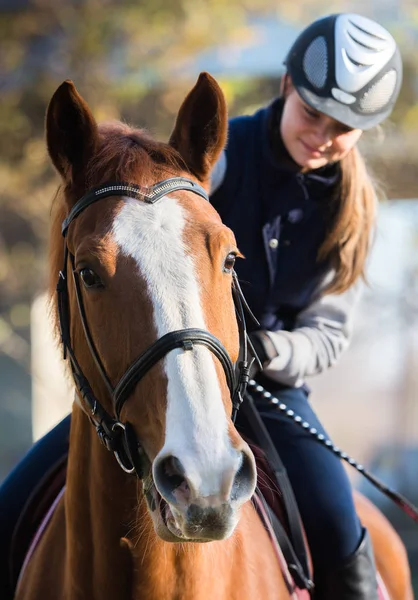 Chica joven montando un caballo —  Fotos de Stock