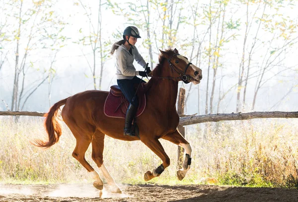 Chica joven montando un caballo — Foto de Stock